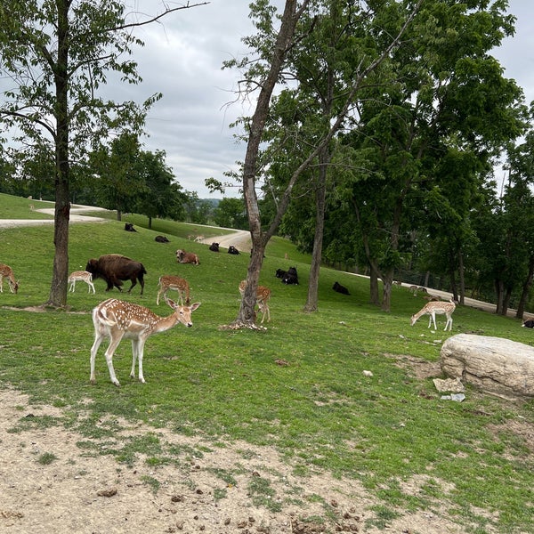 Farm at Walnut Creek Zoo
