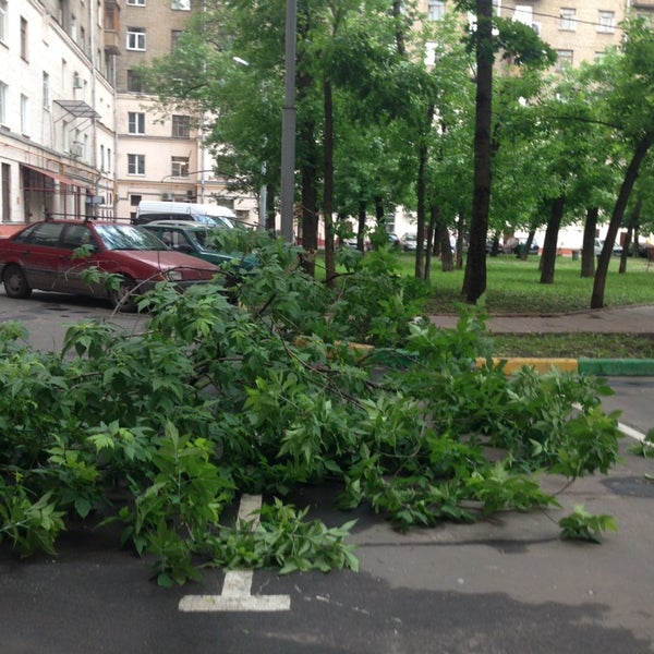 Щербаковская Улица Фото