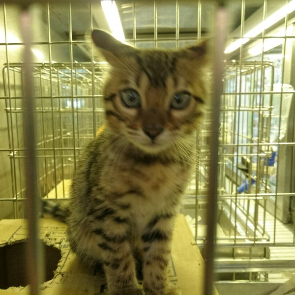 Photos At ペットショップ 清水園 Pet Store In 新宿区