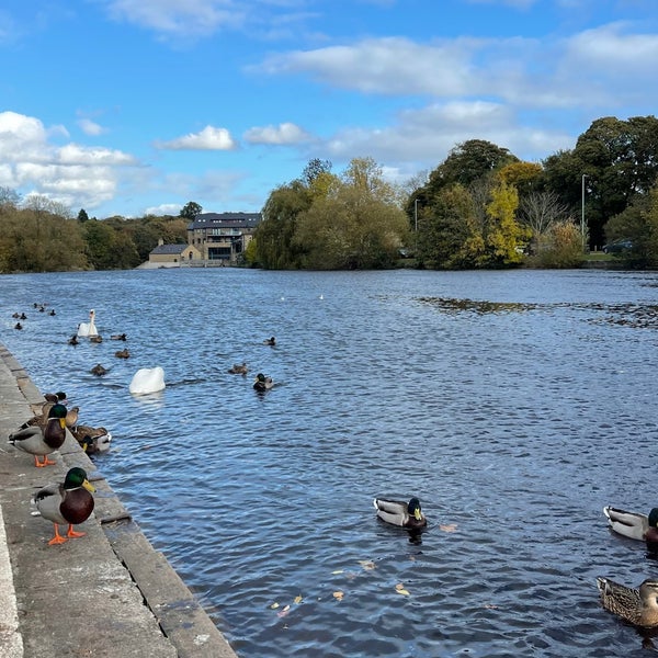 River Wharfe, Otley
