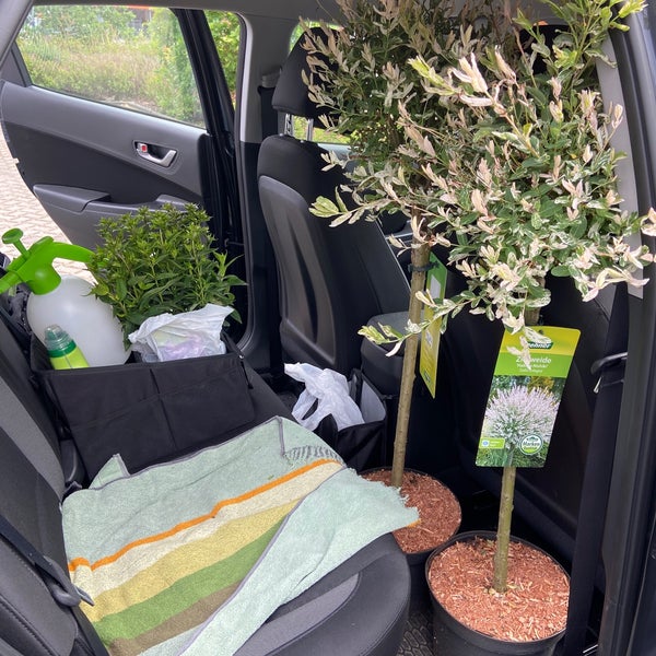 Dehner GartenCenter Gaarden Tonberg 5