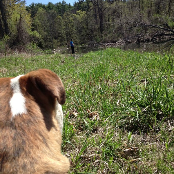 Green River Great Barrington, MA