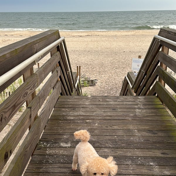 Kismet, Fire Island Beach in Bay Shore