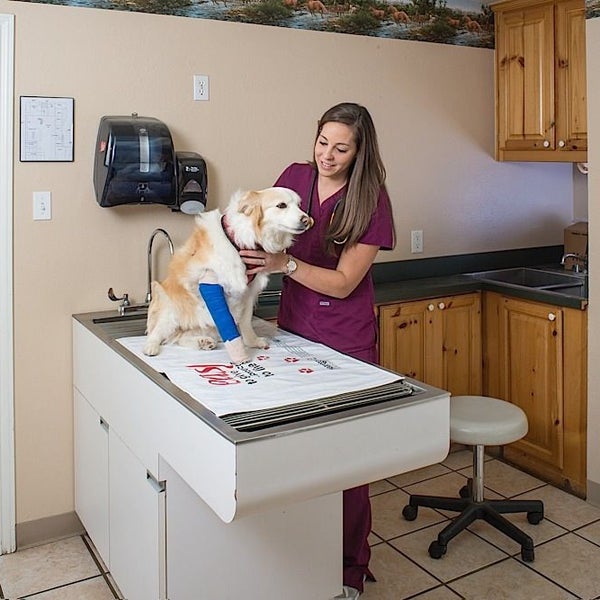 Animal Hospital On Milam Road Veterinarian In Sanger