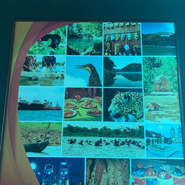 Fotos en Museo de Historia Natural José Narciso Rovirosa 11 tips