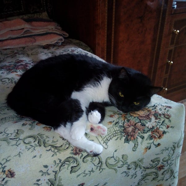 первомайская октябрьская