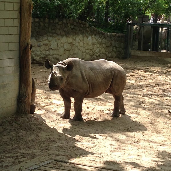 Photo taken at Zoo Berlin by Mr. K. on 5/12/2013