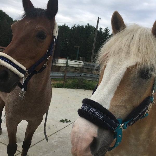 Manege Meerdaalhof Stable in OudHeverlee