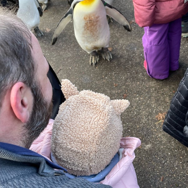 Das Foto wurde bei Zoo Basel von Kallisthenis S. am 12/12/2021 aufgenommen