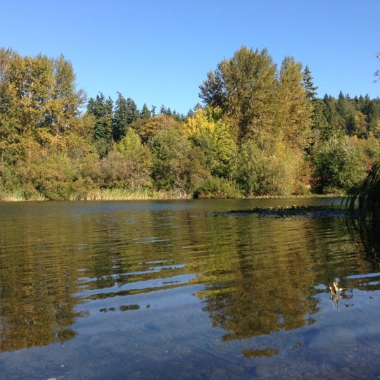 Lake Boren Park Göl