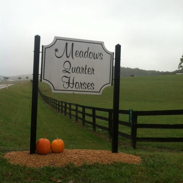 Meadows Quarter Horses Staunton, VA