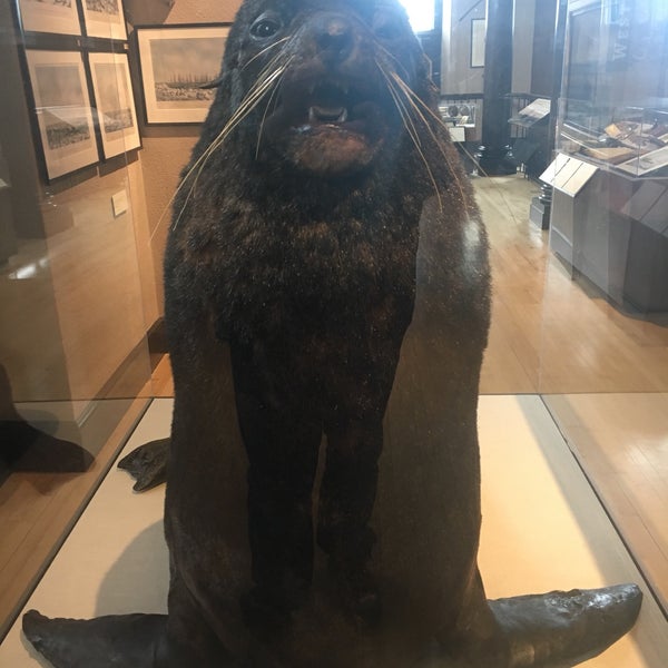 Photo prise au New Bedford Whaling Museum par John M. le11/18/2017