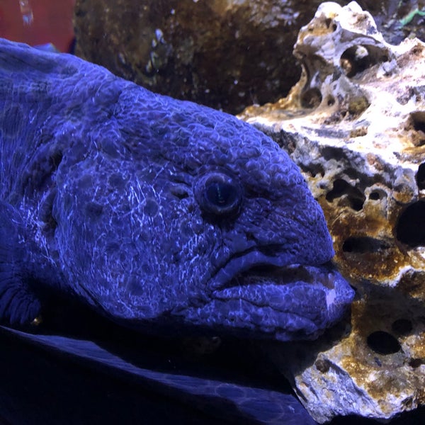 Photo taken at Funtastic Aquarium İzmir by Ahmet Volkan Ö. on 12/14/2019