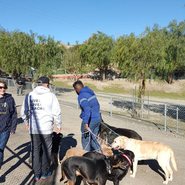 Dog Psychology Center Newhall 20340 Blue Cloud Rd