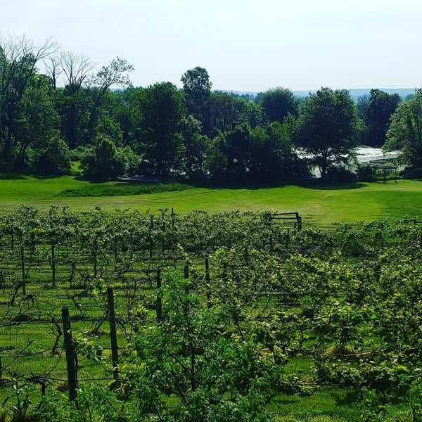 Foto scattata a The Vineyard and Brewery at Hershey da Tom O. il 5/18/2019