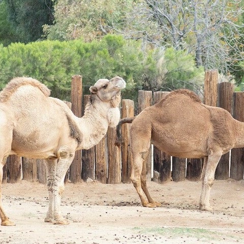 Photo taken at Wildlife World Zoo, Aquarium &amp; Safari Park by Wildlife World Zoo, Aquarium &amp; Safari Park on 8/9/2021