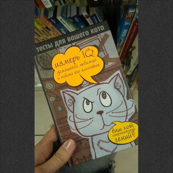 читай город котик