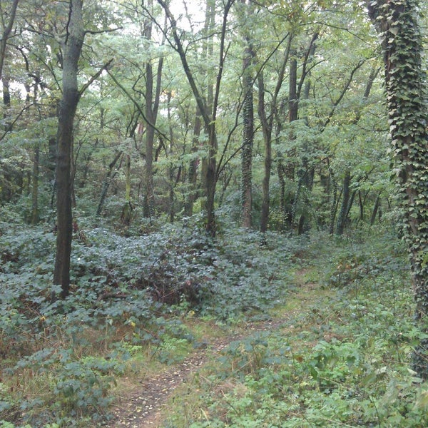 Pflegerin Taetowierte Wald Fisten