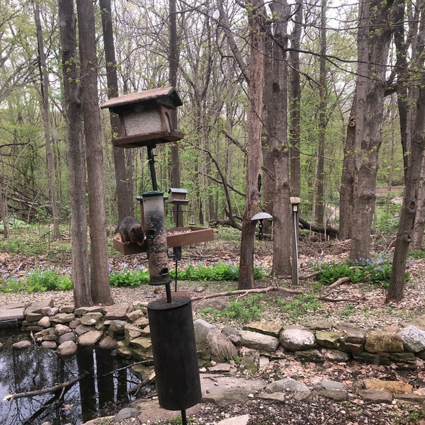 Photos at Cool Creek Park & Nature Center Carmel, IN