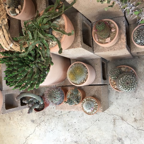 Photo taken at Cactus Store by Amit G. on 5/29/2016