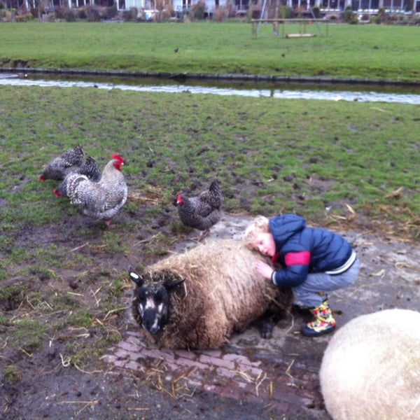 photos à kinderboerderij merenwijk - parkzicht 100