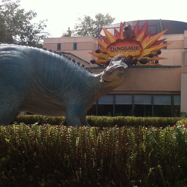 Disney animal kingdom florida dinosaur hi-res stock photography and images  - Alamy