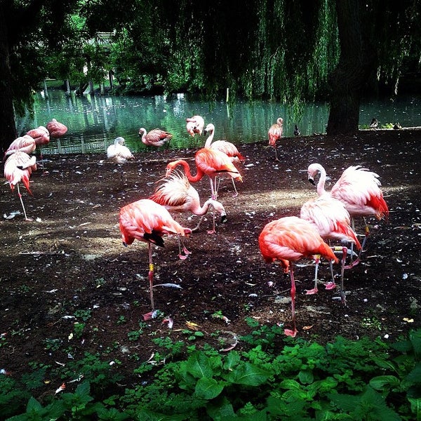 Photo taken at Flamingo Land by Aziz A. on 9/12/2013
