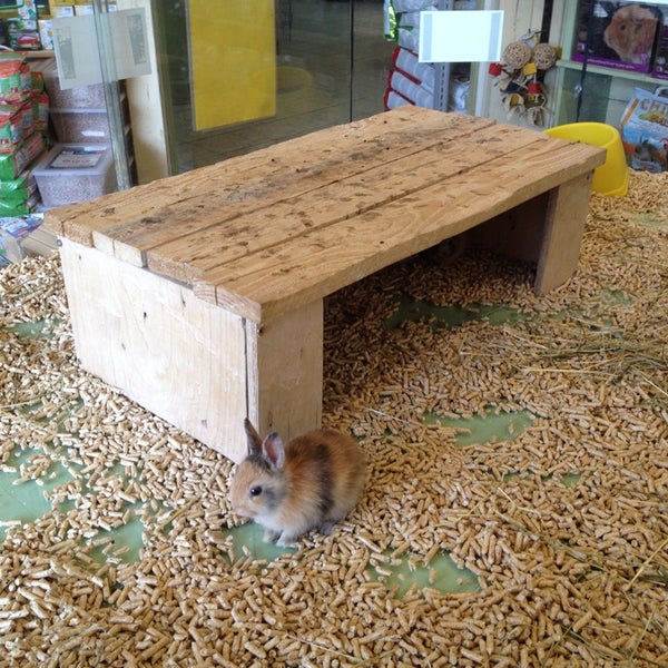 Mr pet supplies top