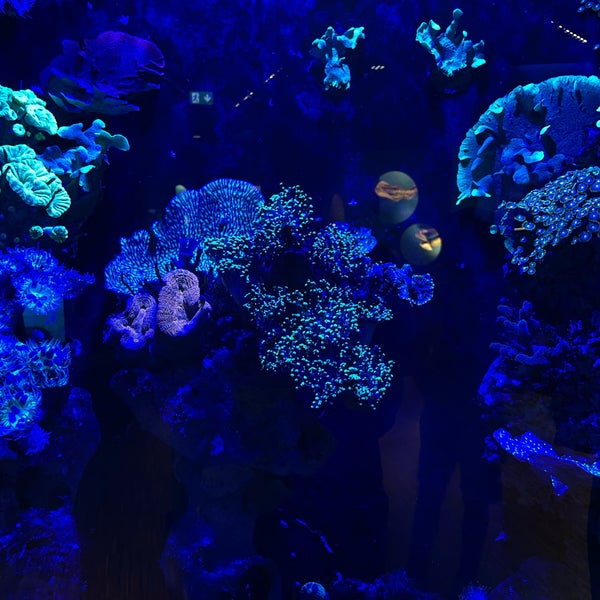 Aquazoo Lobbecke Museum Stockum Kaiserswerther Str 380