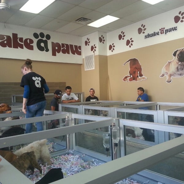 Shake hotsell a paw