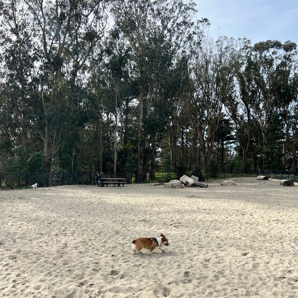 Golden Gate Park Dog Run 2 Dog Park in San Francisco