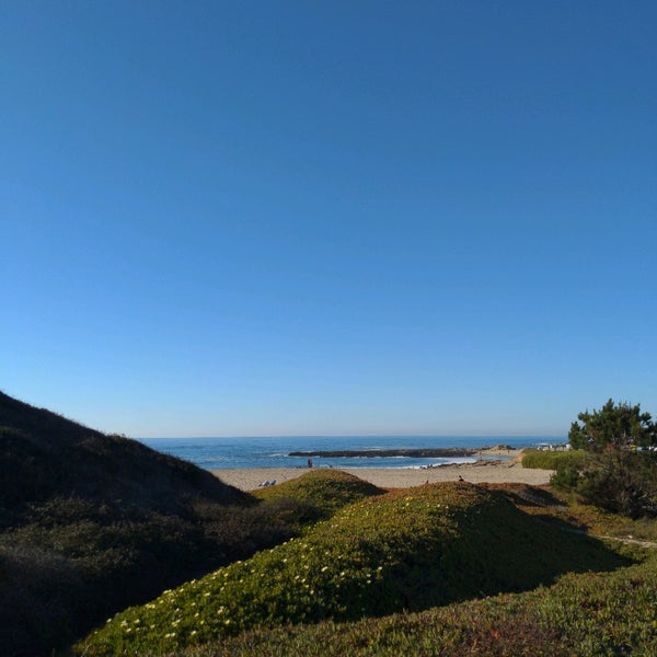 Fotos bei Bean Hollow State Beach Strand in Pescadero
