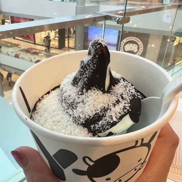 Yo Mama Frozen Yogurt Shop