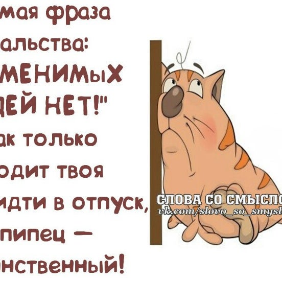 Веселые цитаты в картинках