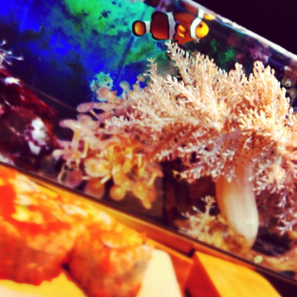 Definitiv eine der besten Sushi Bars in Berlin! Unbedingt mal ausprobieren! Die wundervollsten Sushi Kreationen werden frisch vor den Augen zubereitet und bereiten unglaubliche Geschmacksexplosionen!