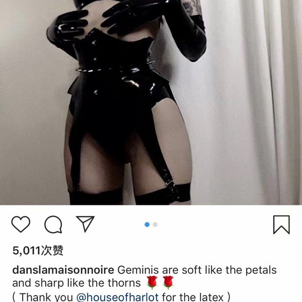 danslamaisonnoire in answer #2195989