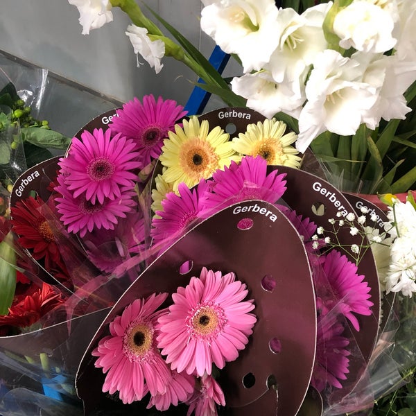 أغصان للزهور Agsan Flowers الربوة 5 Conseils