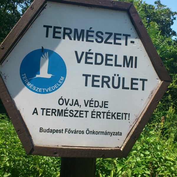 7/14/2013 tarihinde Kittyziyaretçi tarafından Szemlő-hegyi-barlang'de çekilen fotoğraf