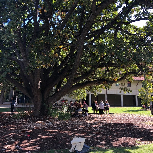 The picnic tables at Oak Lawn is a great place to have a light, casual study session with your friends. The many greens calms the mind and the shade cools the area.