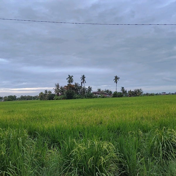 Photos At Air Hitam Kedah 2 Tips From 1750 Visitors