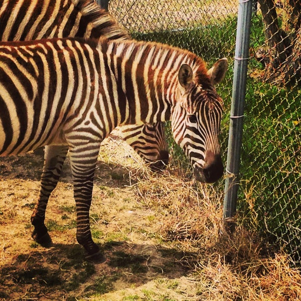 Foto tirada no(a) Cape May County Zoo Society por Jordan B. em 4/23/2013