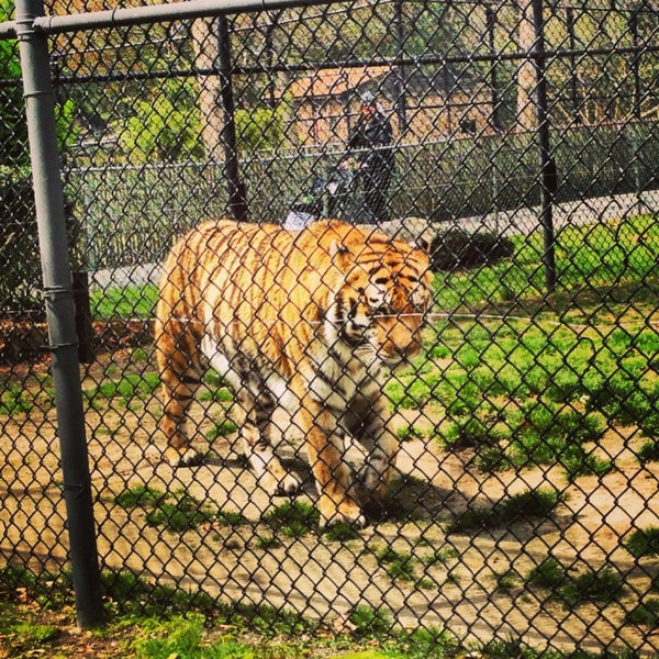 รูปภาพถ่ายที่ Cape May County Zoo Society โดย Jordan B. เมื่อ 4/23/2013