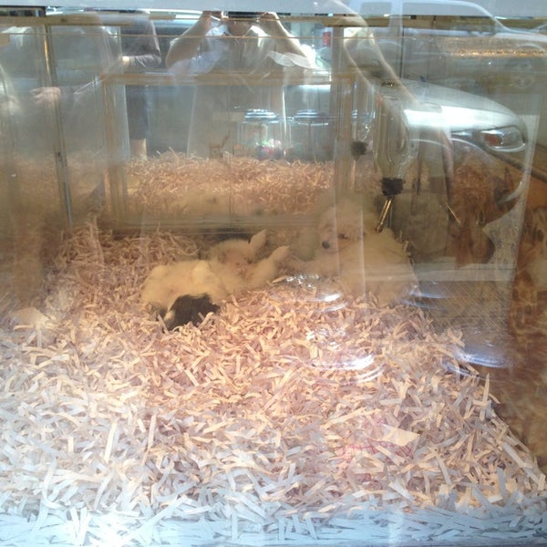 Pets on Lex (Now Closed) Upper East Side New York, NY