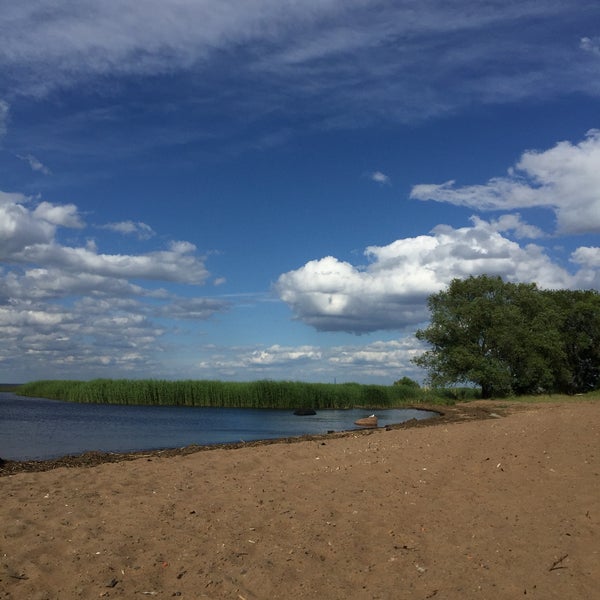 Пляж в мартышкино