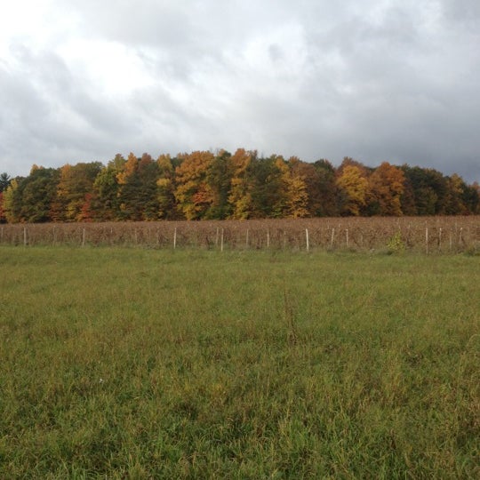 Foto tirada no(a) Hunt Country Vineyards por Andy M. em 10/15/2012
