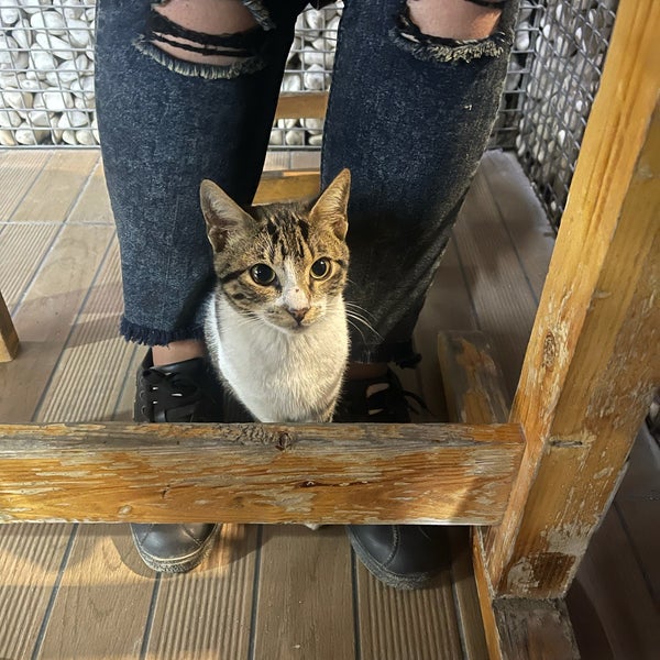 photos at gazoz bufe lefkosa 6 tips