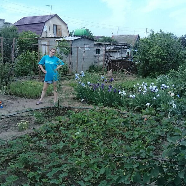 Купить Дачу Энгельс Химик