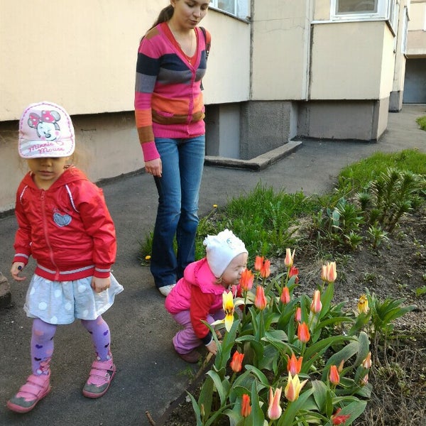 Тсж дачное. Тсж дачное
