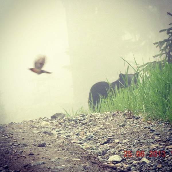7/25/2013 tarihinde Canadian Wilderness Adventuresziyaretçi tarafından Canadian Wilderness Adventures'de çekilen fotoğraf