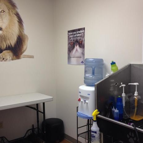 8/4/2014에 Samantah D.님이 The Main Lion Cat Grooming Salon에서 찍은 사진
